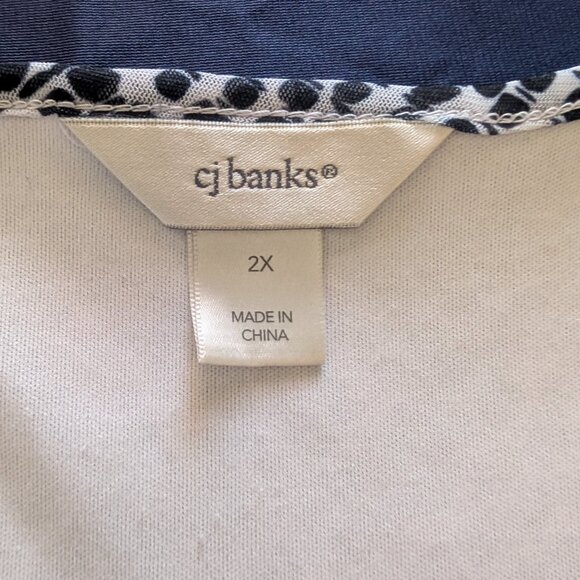 CJ Banks Christopher & Banks White/Blue Simi Sheer Layered Lined Dotted Print 2x - Picture 2 of 16